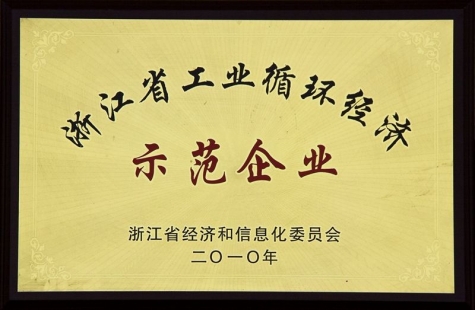 浙江(jiang)省工(gong)業循環經(jing)濟示範齊(qi)業
